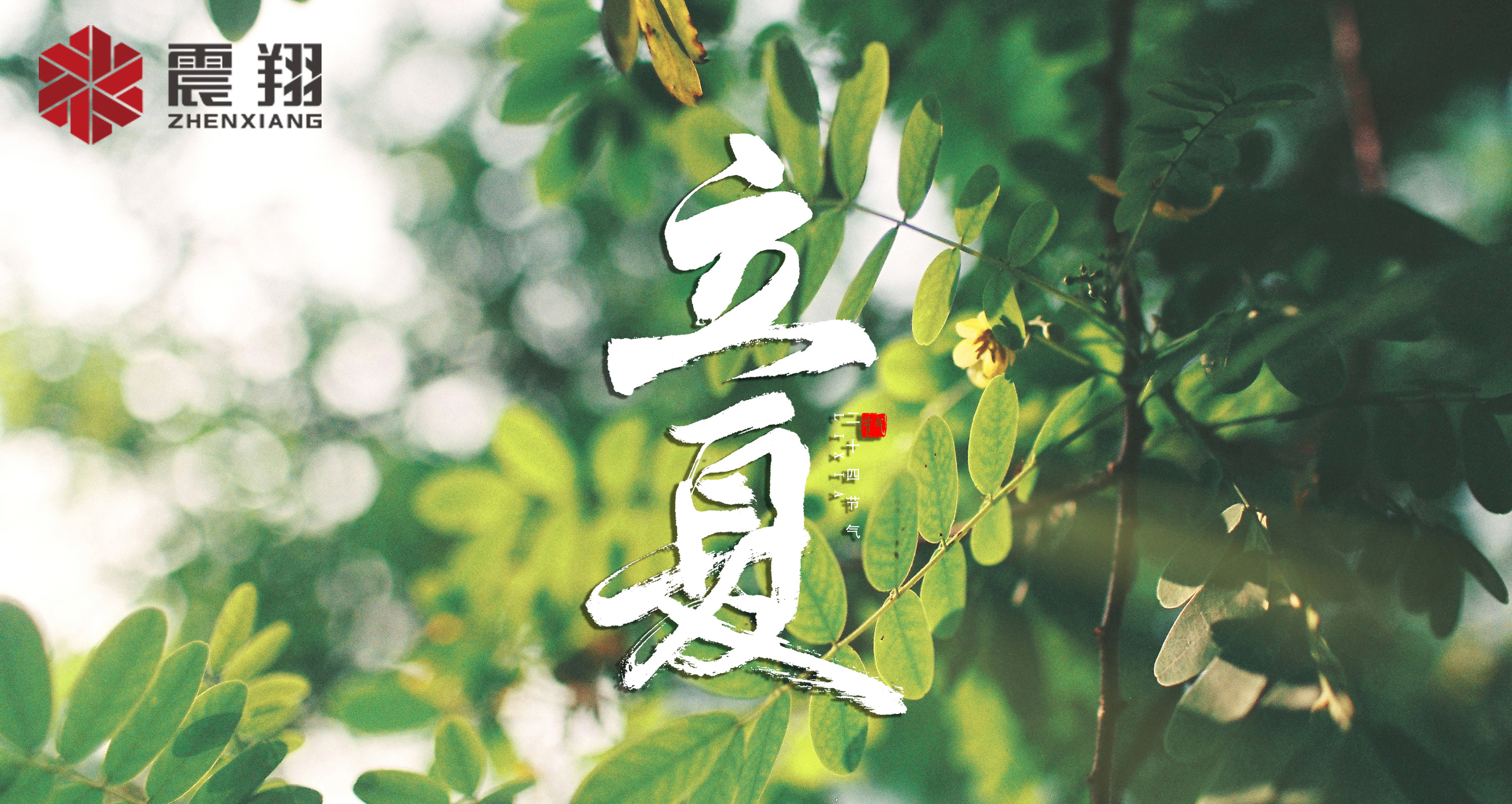 【立夏】春去春來不曾留意,夏日當(dāng)歸,撲面而來